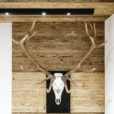 Alpinlounge Raetia Apartmán Ischgl